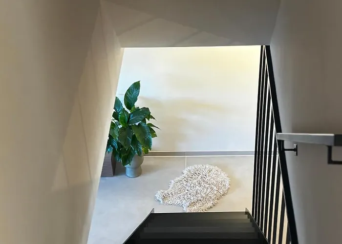 Apartman Barcelona Pécs